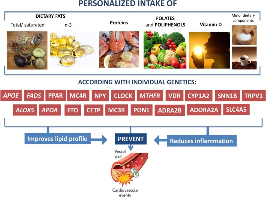The Significance of Genetics in Personalized Nutrition: Exploring Nutrigenomics