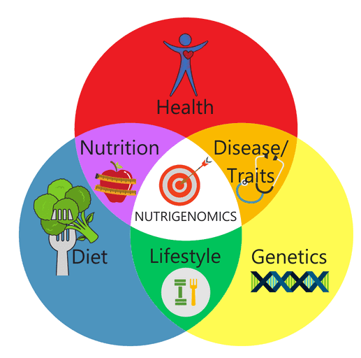 The Significance of Genetics in Personalized Nutrition: Exploring Nutrigenomics