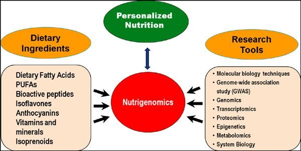 The Future Of Nutrigenomics And Its Impact On Personalized Nutrition ...